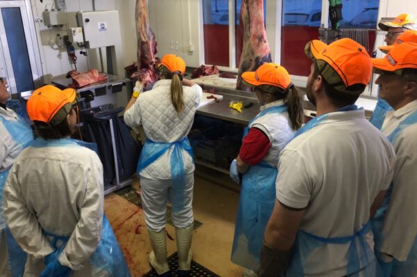 Styckningskurs - Köttservice.se