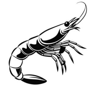 Skaldjur - Arnemarks Köttservice - https://kottservice.se